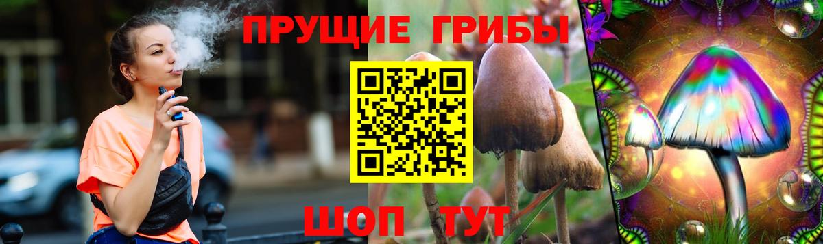 Галлюциногенные грибы Psilocybine cubensis Ялта